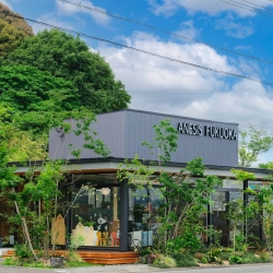 ご来店