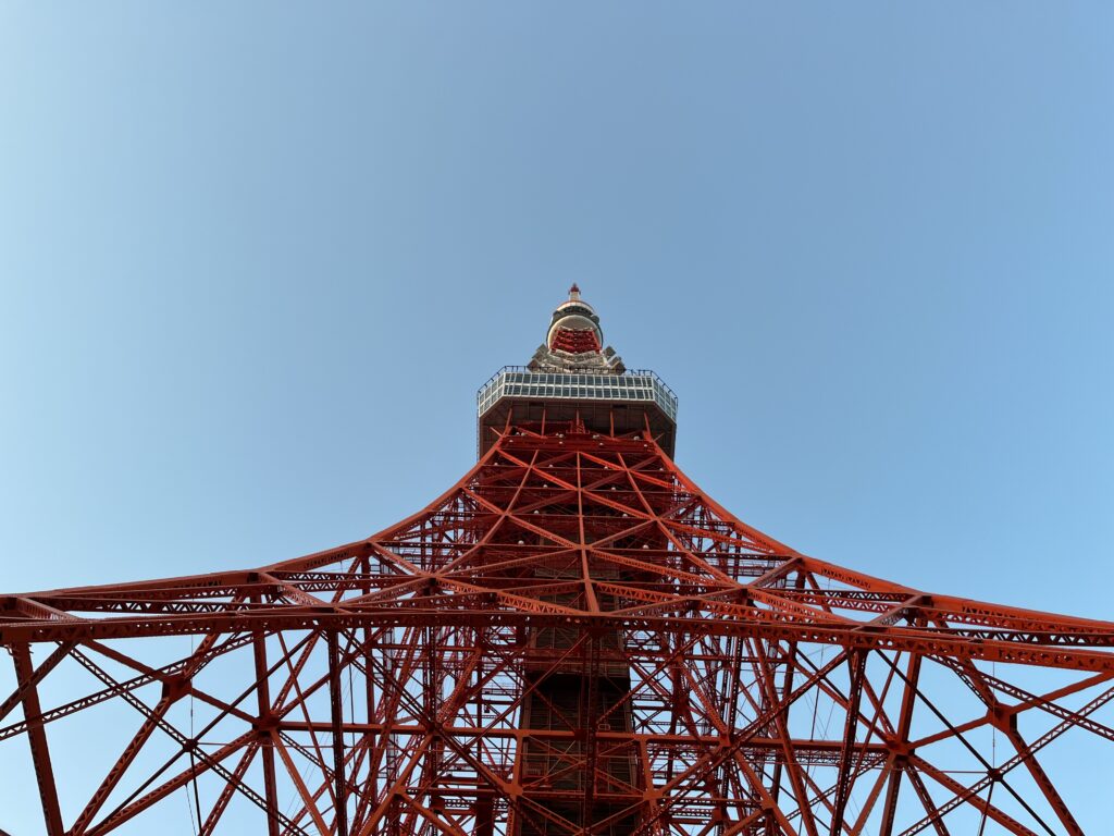 東京タワーから豆。