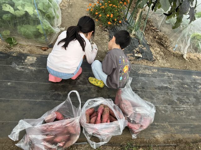 現場監督が推す！農ある暮らし