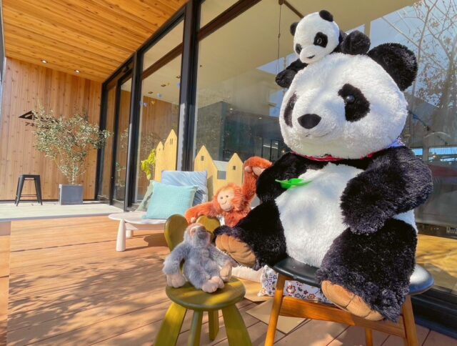 外とのつながり