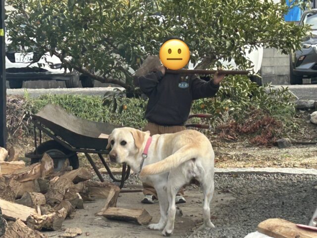 「成長」に触れたお正月